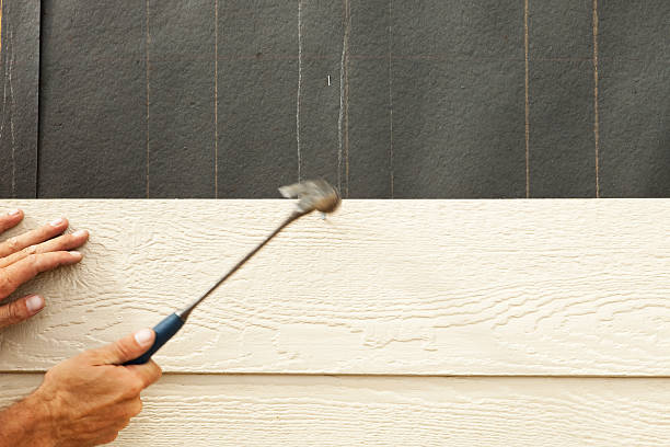 Best Siding Painting and Refinishing  in Eddyville, KY